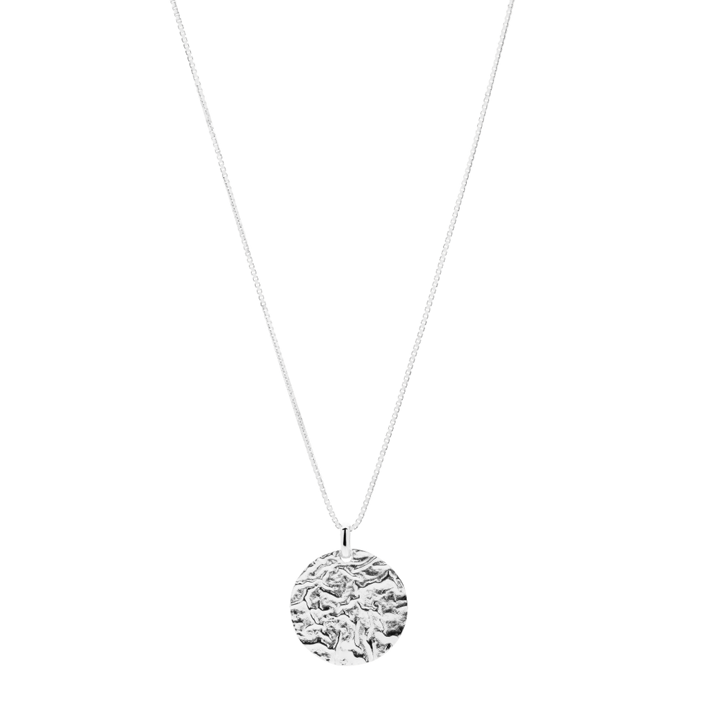 Lucky Coin Necklace - silver