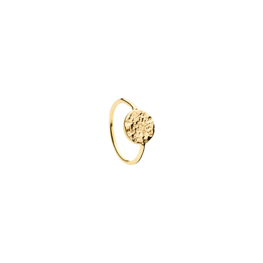 Lucky Coin Ring - gold-plated