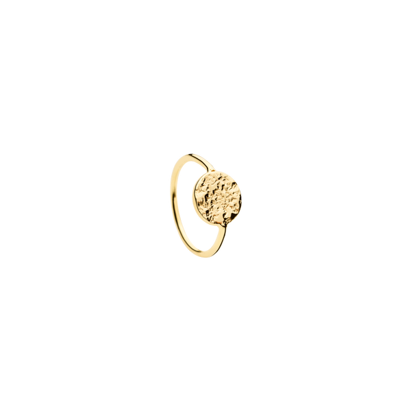 Lucky Coin Ring - gold-plated